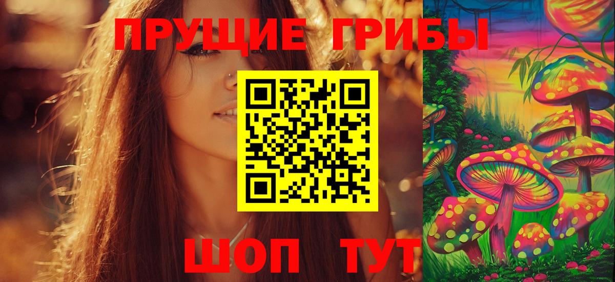 Псилоцибиновые грибы мухоморы  Галлюциногенные грибы GOLDEN TEACHER  Гатчина  Вход с VPN 