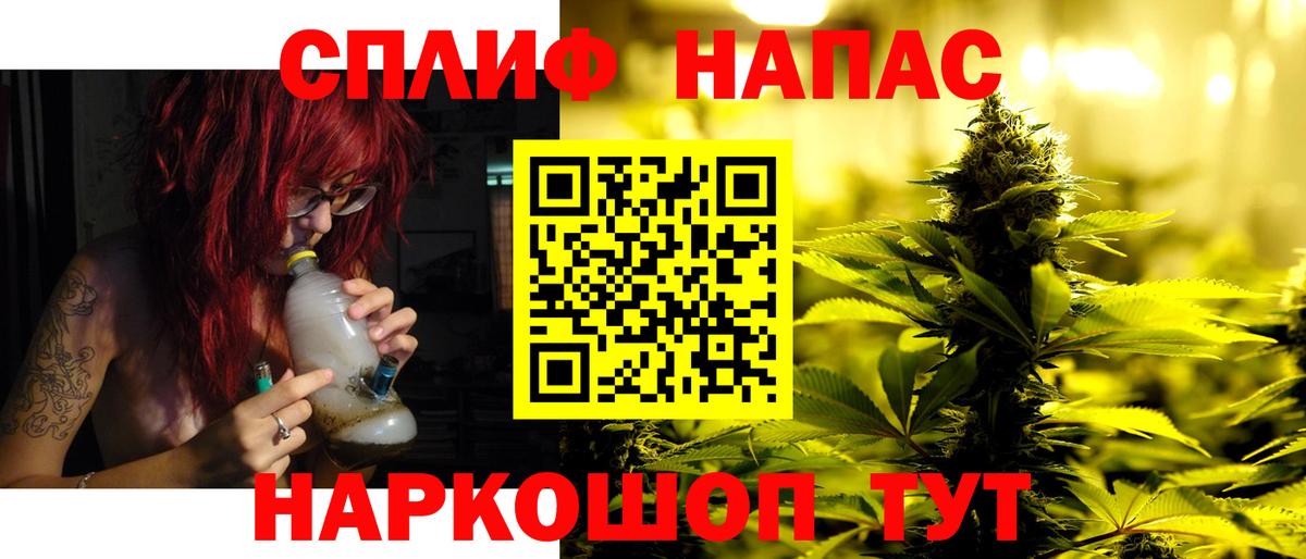 Марихуана сатива Гатчина